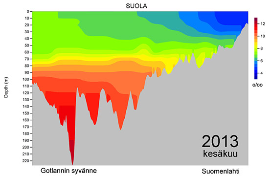 suolaprof-Gotl-Slahti-alkukesä-2013-WEB_556.jpg